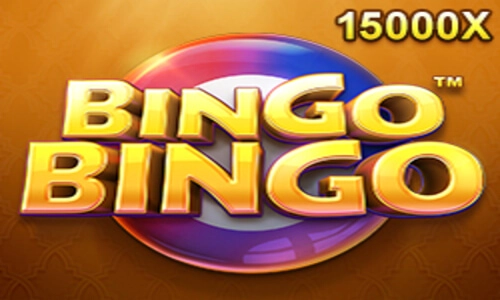 Bingo bingo